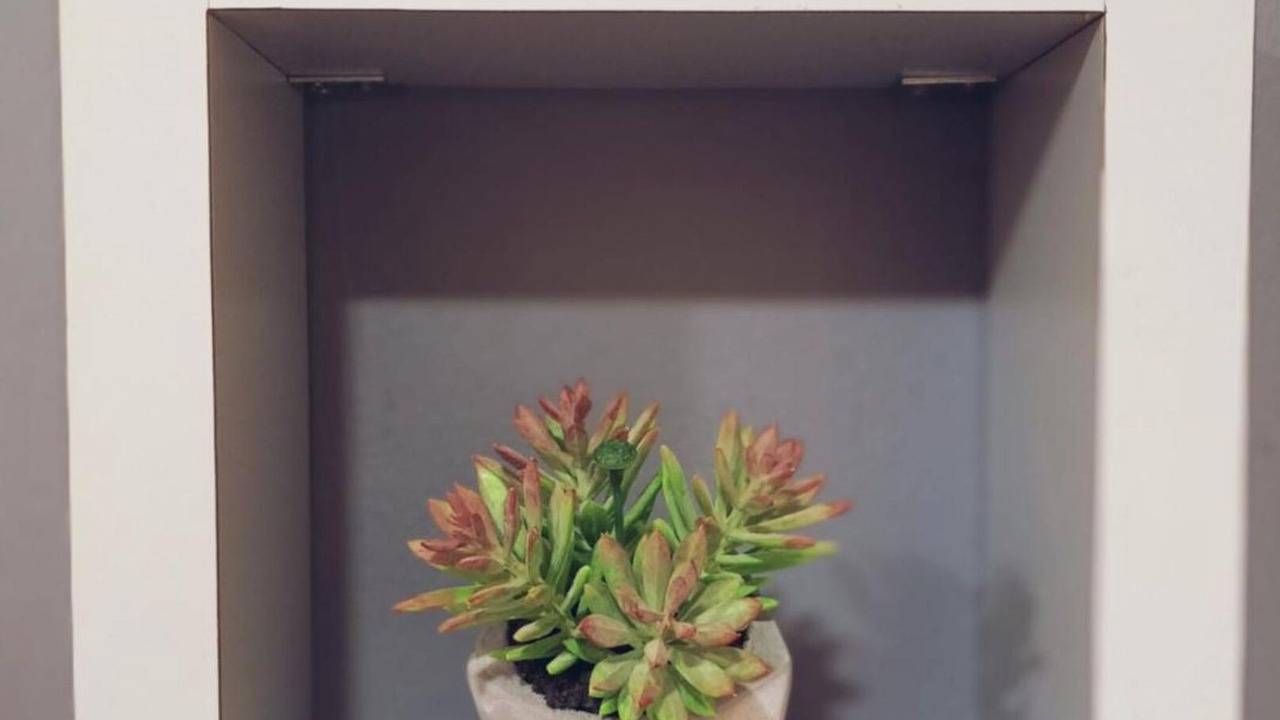 Photo of Others in Kampung Tanjung Mas