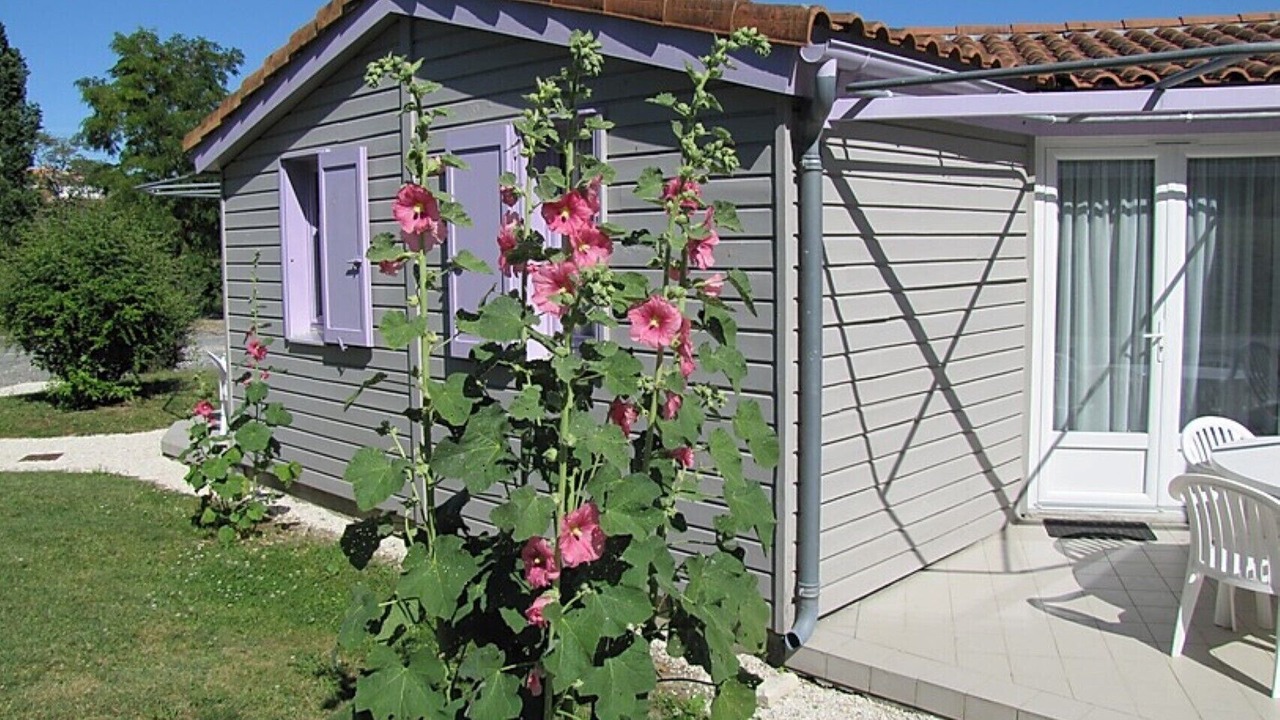 Photo of Outdoor in Tonnay-Boutonne