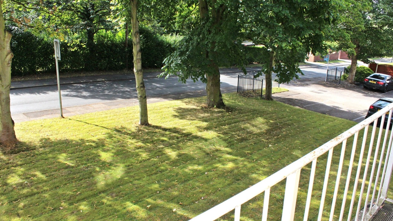 Photo of Others in Doncaster