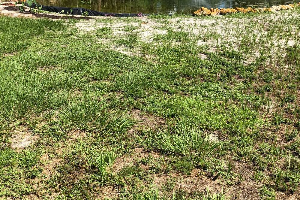 Photo of Outdoor in Rural Estates