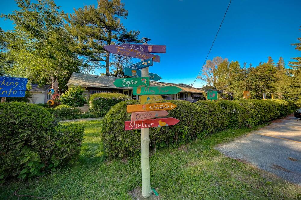 Photo of Outdoor in Sutton