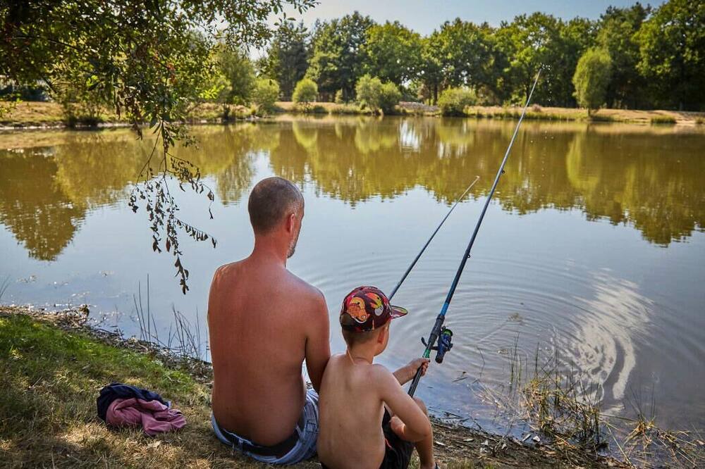 Photo of Others in La Boissiere-de-Montaigu