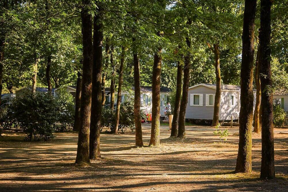 Photo of Outdoor in La Boissiere-de-Montaigu