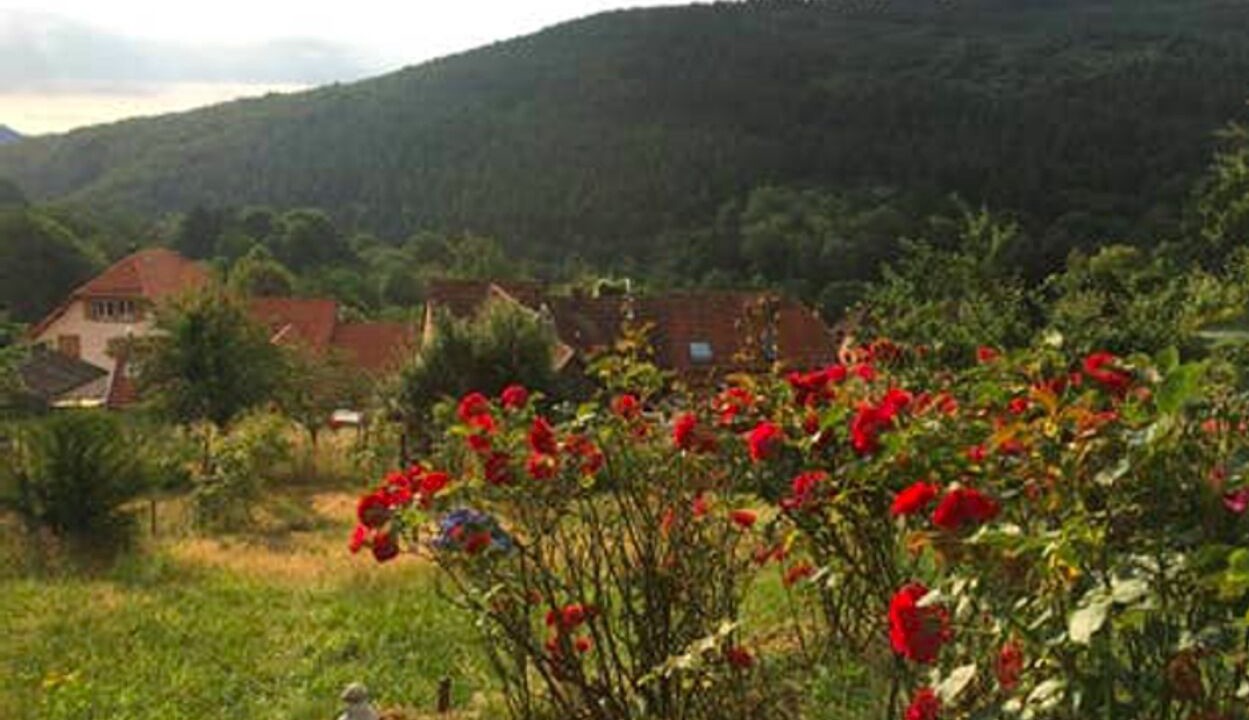 Photo of Outdoor in Grendelbruch