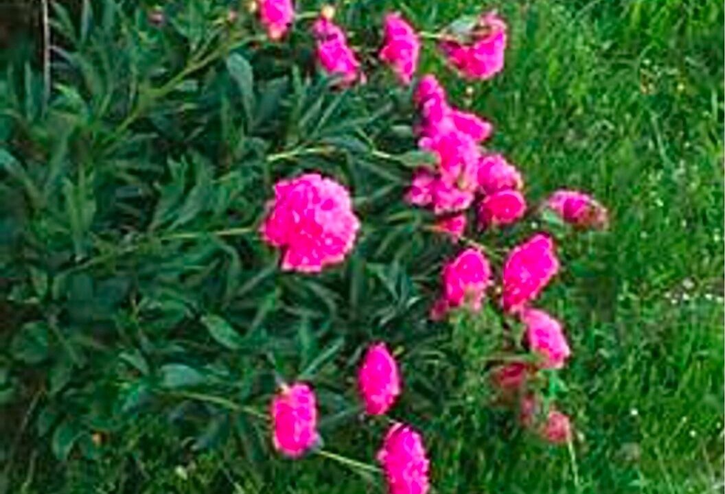 Photo of Outdoor in Grendelbruch