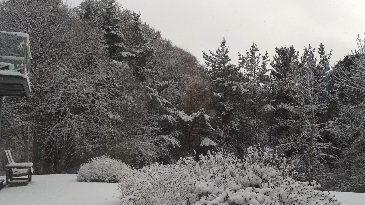 Photo of Outdoor in Balnain