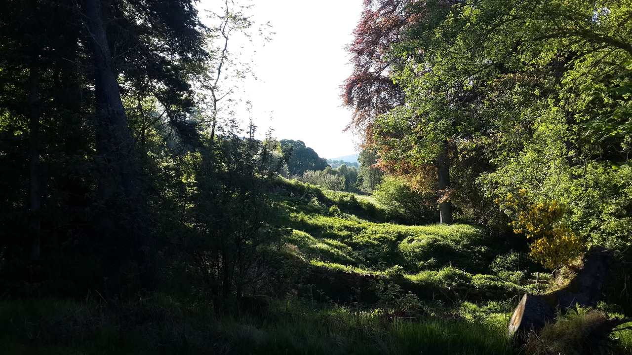 Photo of Bedroom in Balnain
