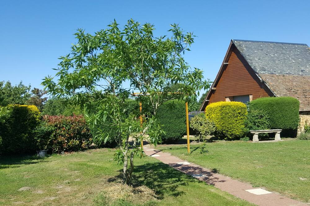 Photo of Outdoor in La Chapelle-aux-Choux