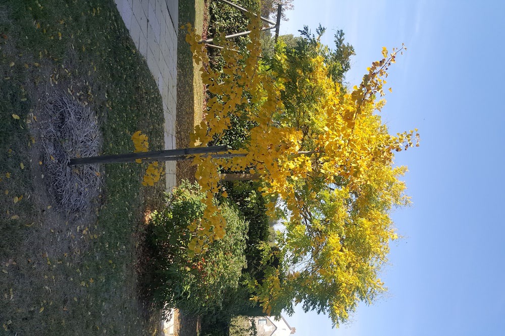 Photo of Outdoor in La Chapelle-aux-Choux