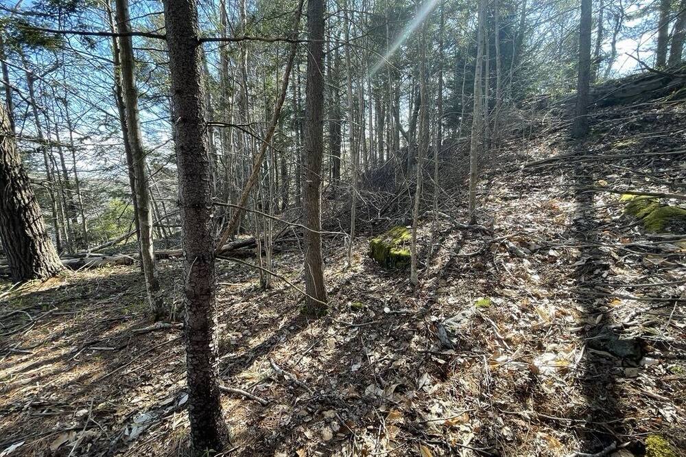 Photo of Outdoor in Harpswell