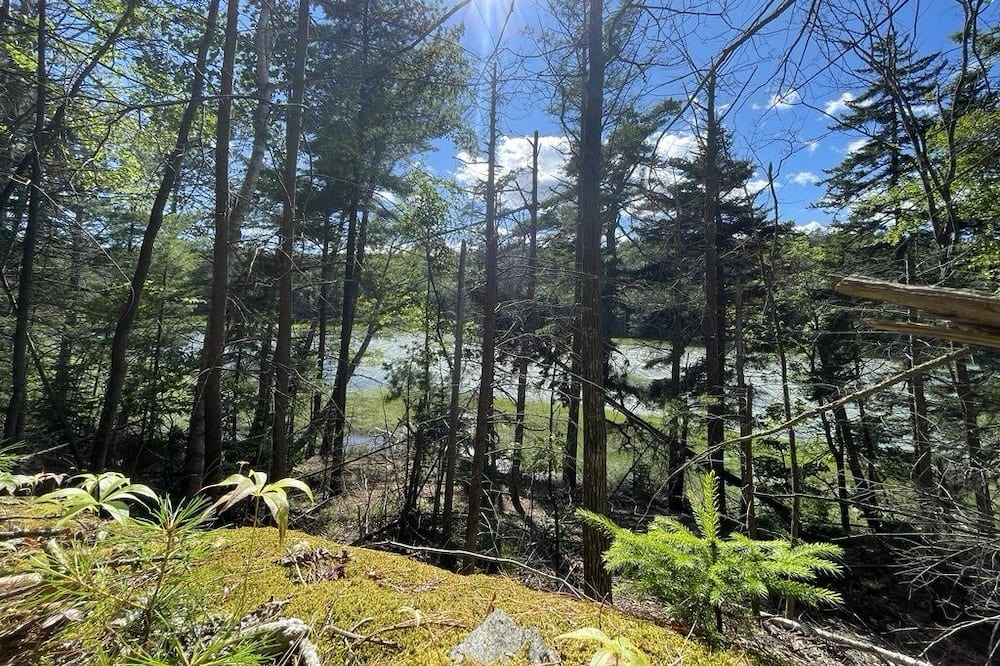 Photo of Outdoor in Harpswell