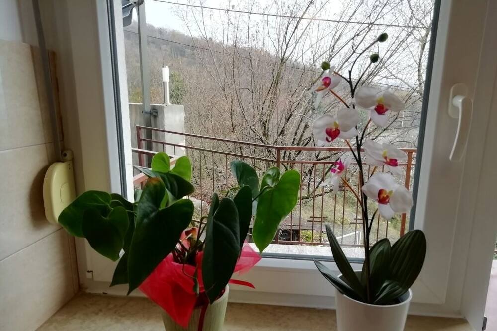 Photo of Others in Viskovo