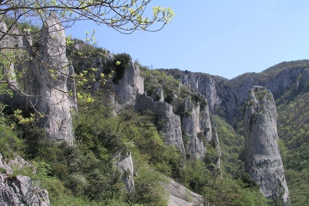 Photo of Others in Viskovo