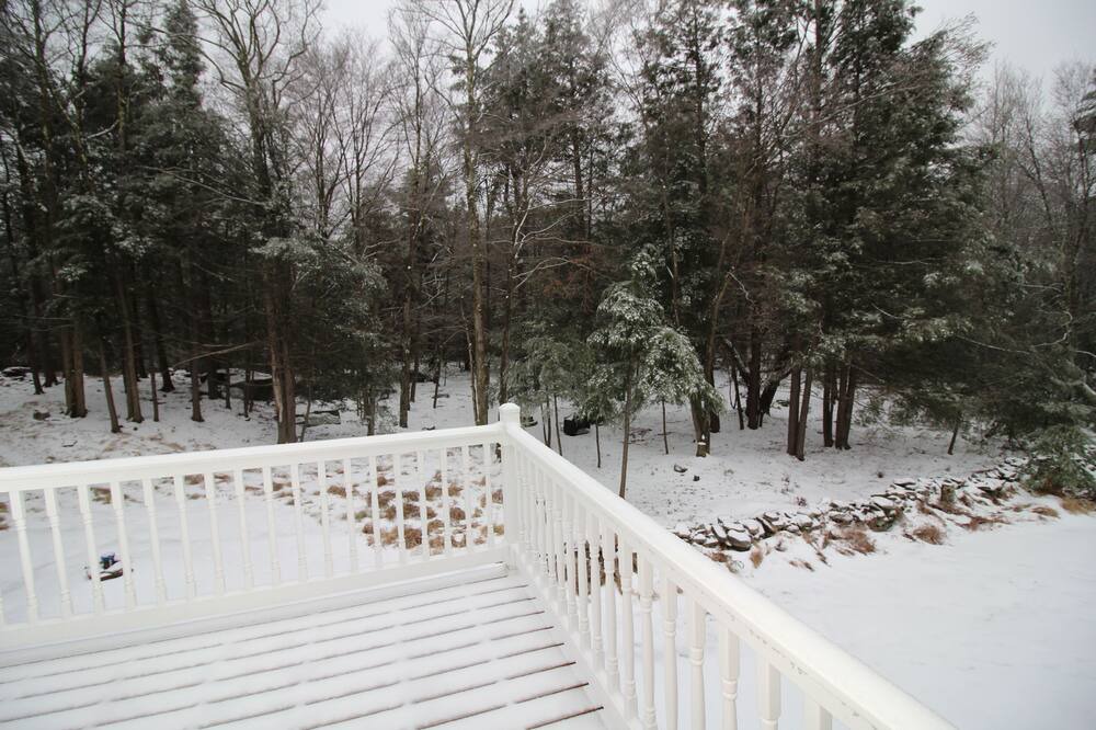 Photo of Others in Monticello