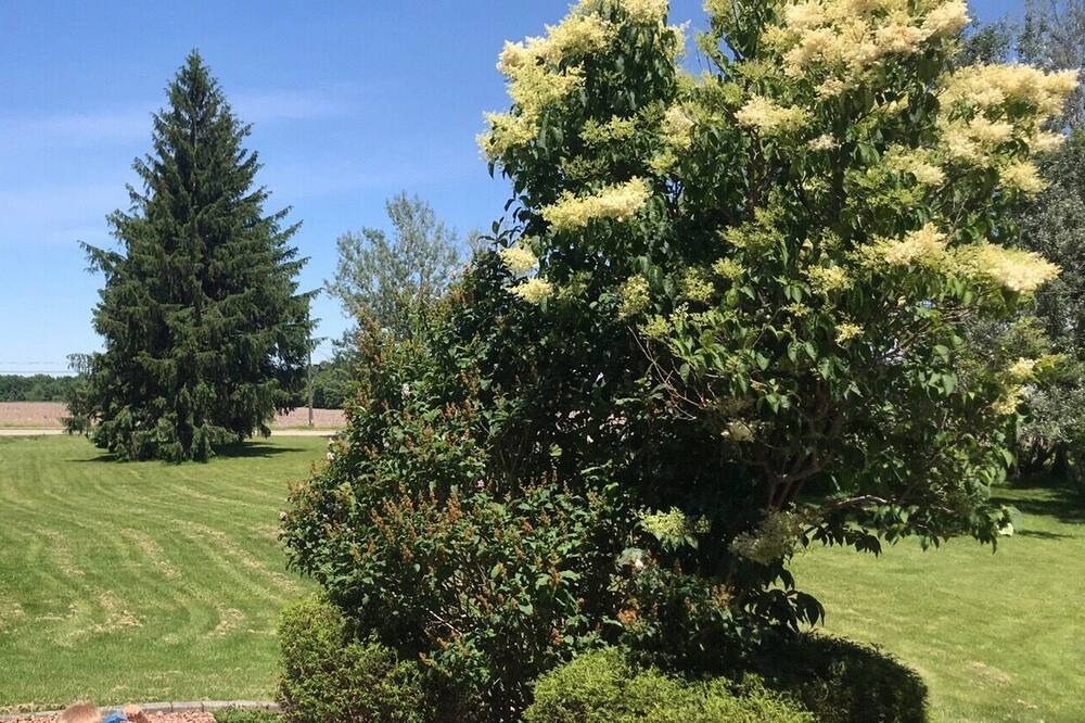 Photo of Outdoor in Delaware