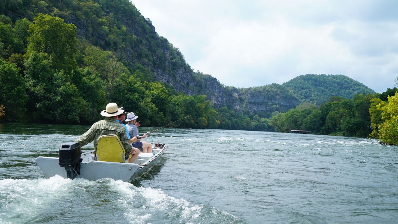 Photo of Others in Buffalo City