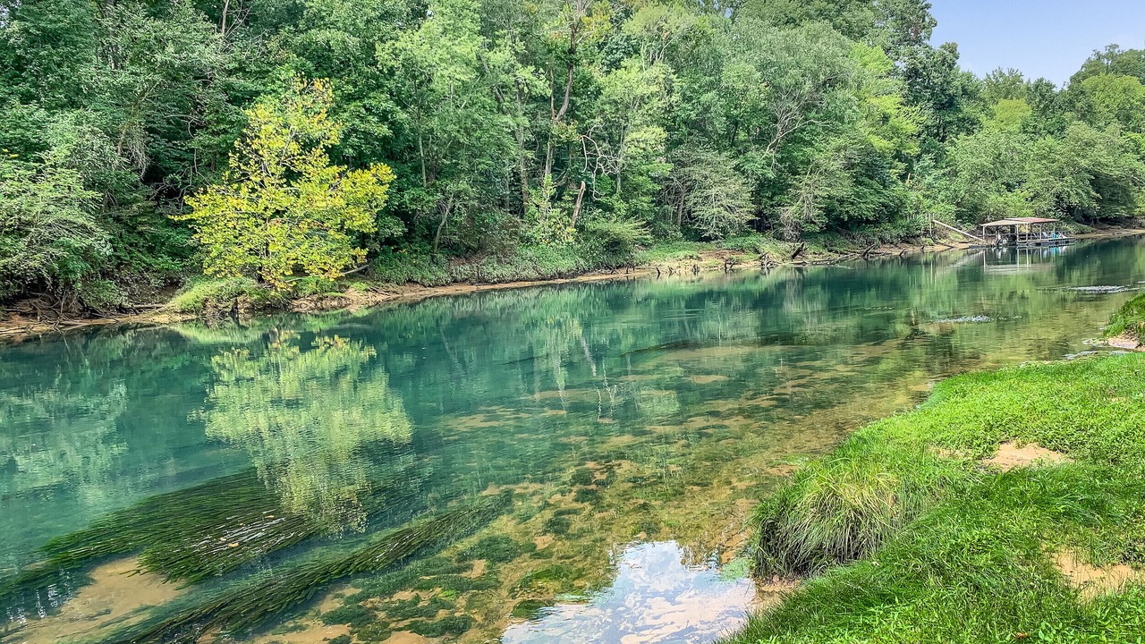 Photo of Others in Heber Springs