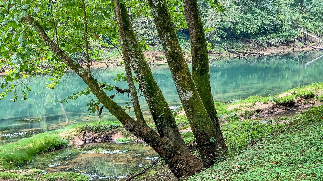 Photo of Outdoor in Heber Springs