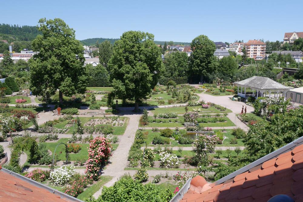 Photo of Outdoor in Saverne