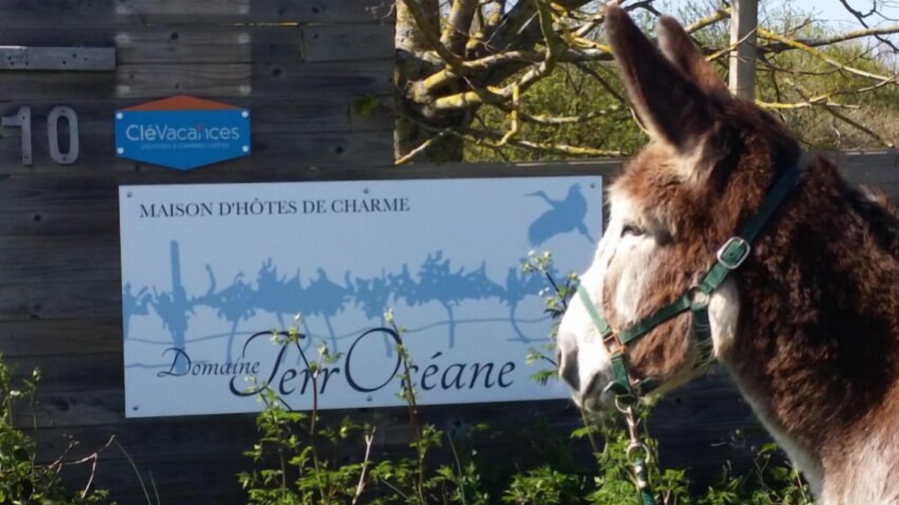 Photo of Outdoor in La Gripperie-Saint-Symphorien