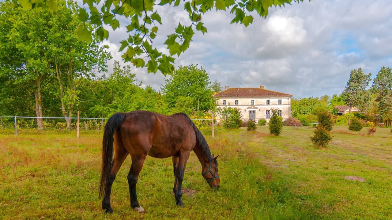 Photo of Outdoor in La Gripperie-Saint-Symphorien