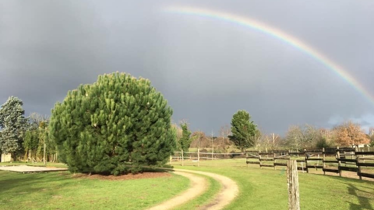 Photo of Outdoor in La Gripperie-Saint-Symphorien