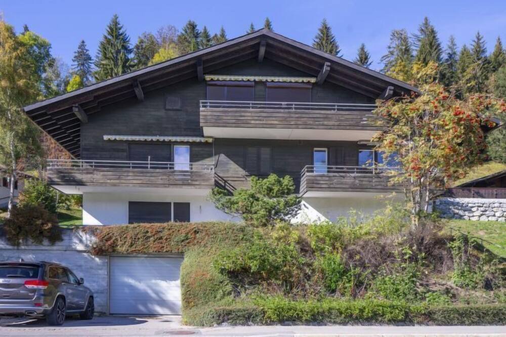 Photo of Outdoor in Saanenmoeser