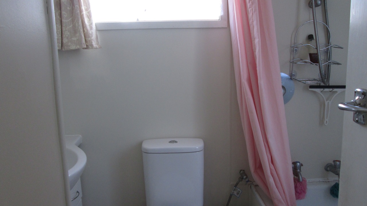 Photo of Others in Mangawhai Heads