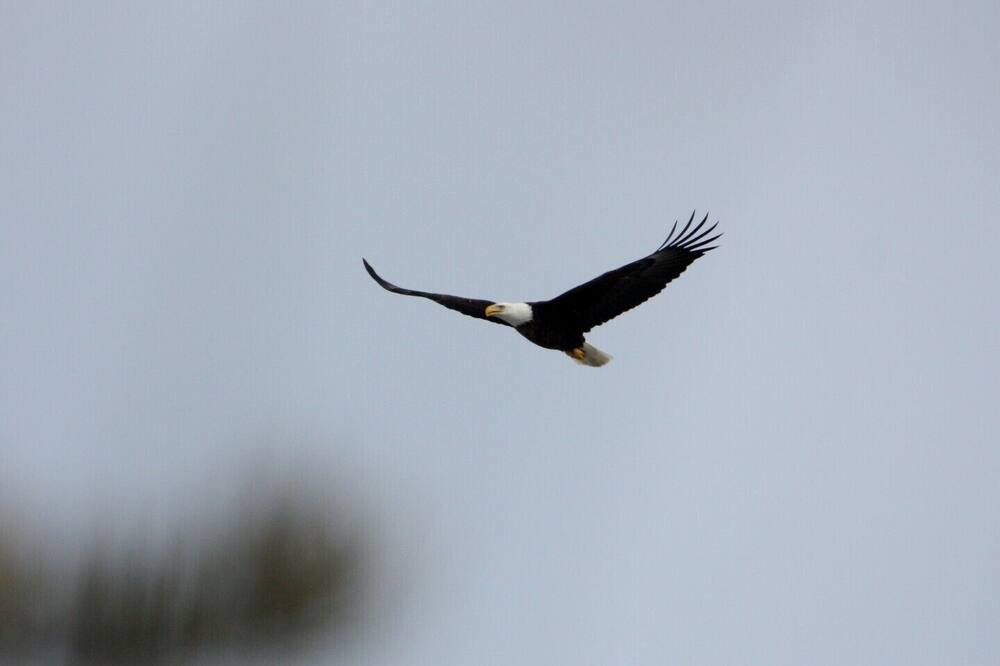 Photo of Others in Squaw Lake