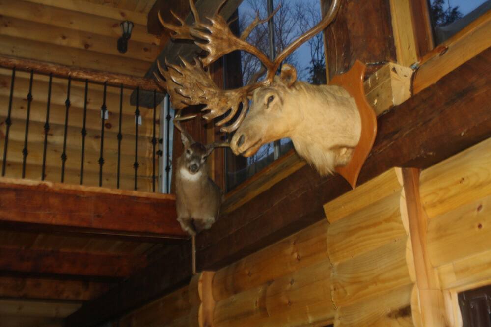 Photo of Others in Wentworth-Nord