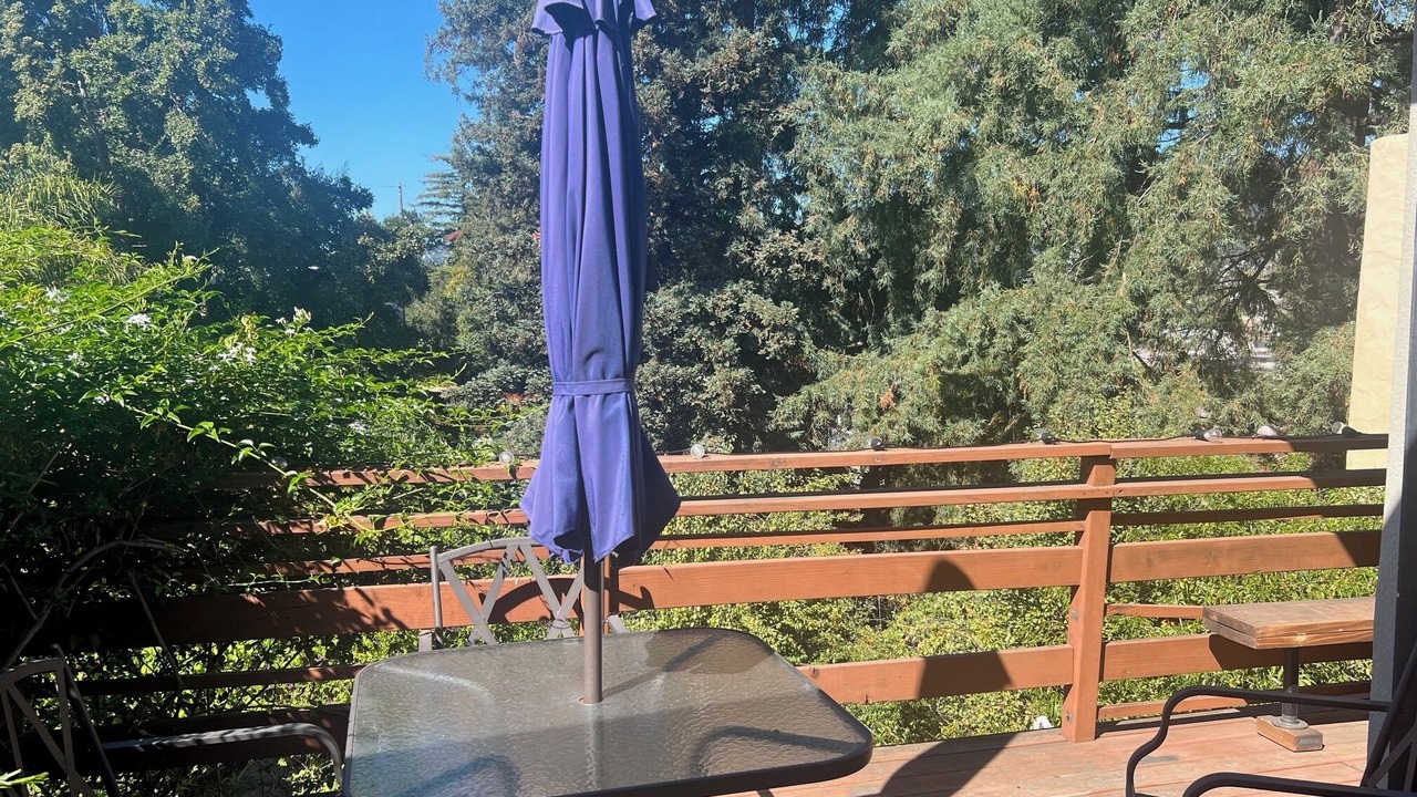 Photo of Outdoor in Maxwell Park