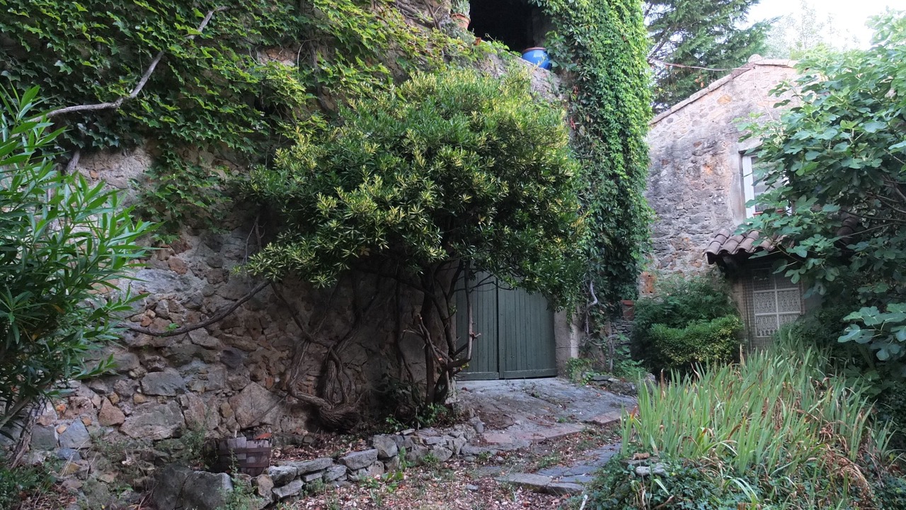 Photo of Outdoor in Castillon
