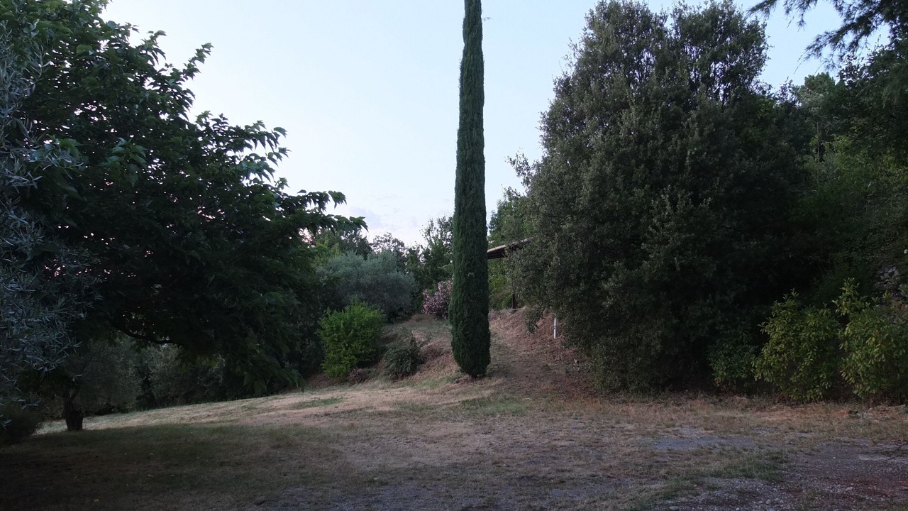 Photo of Outdoor in Castillon
