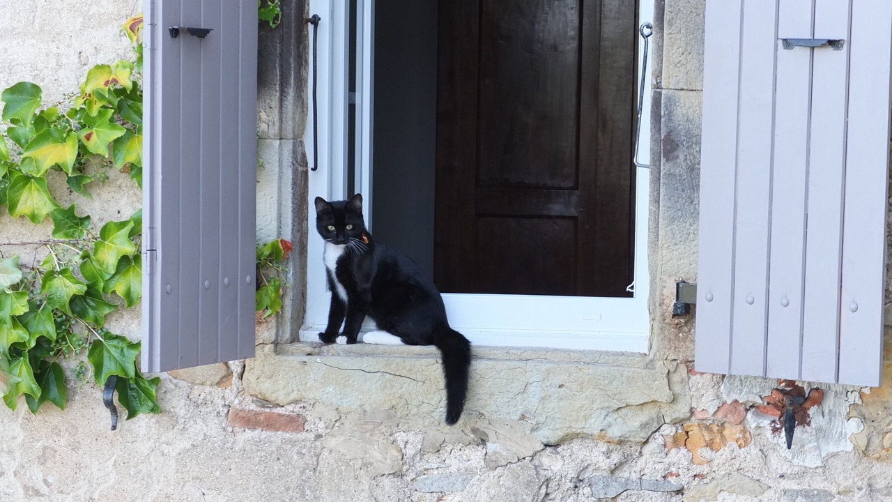 Photo of Outdoor in Castillon