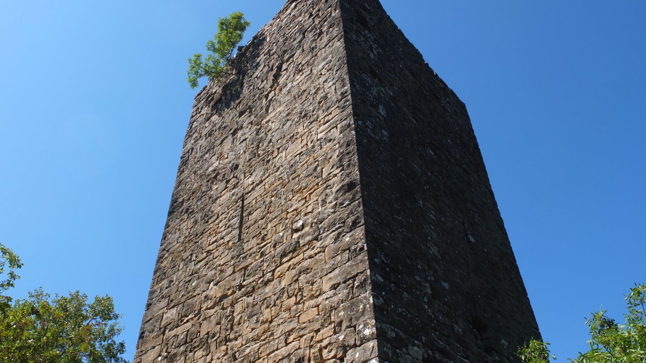 Photo of Outdoor in Castillon