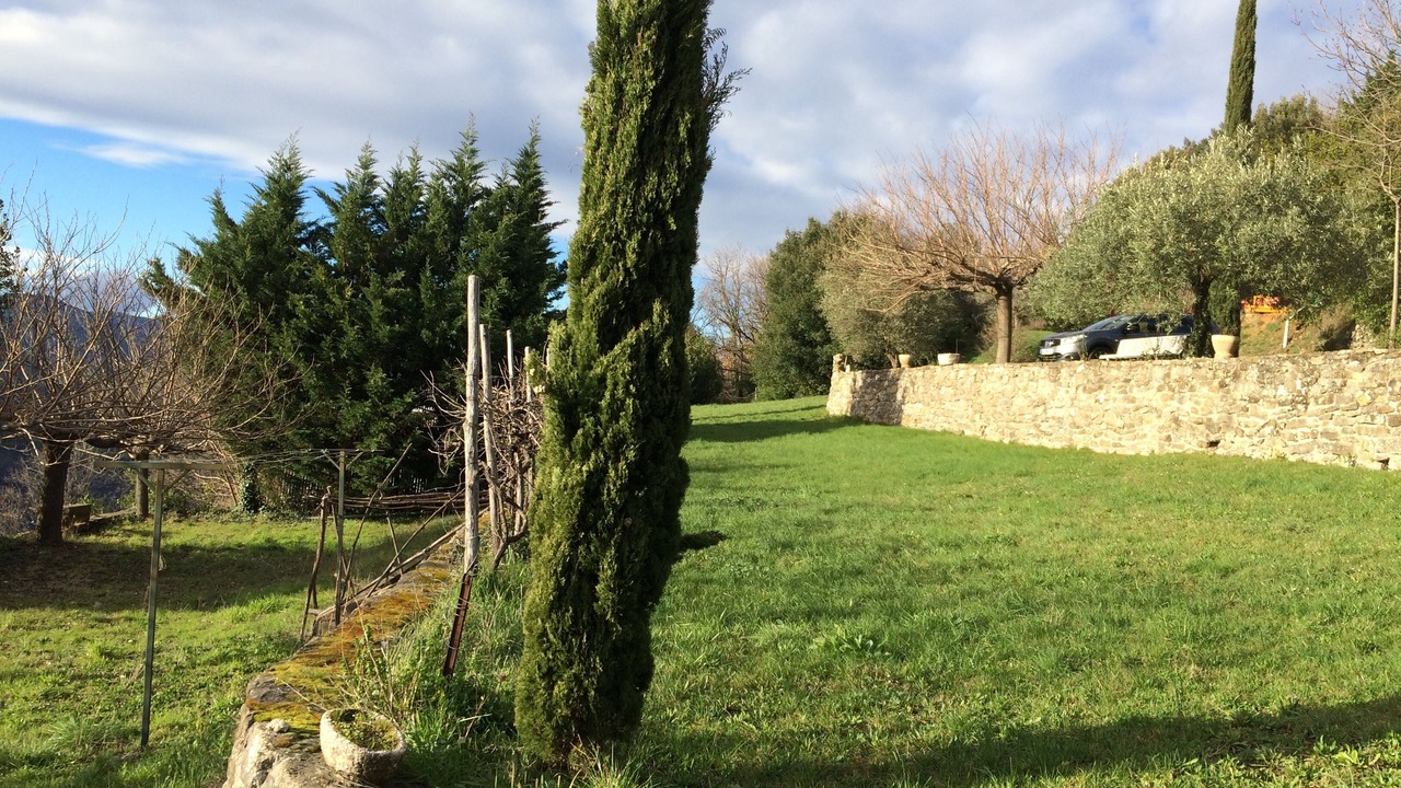 Photo of Outdoor in Castillon