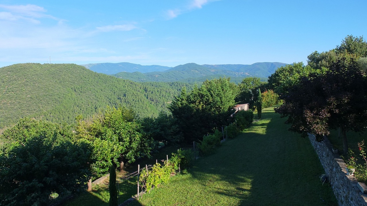Photo of Outdoor in Castillon