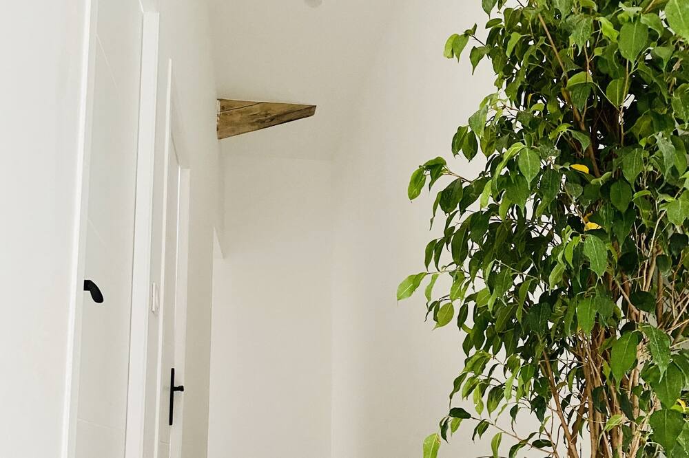 Photo of Others in Saint-Gervais