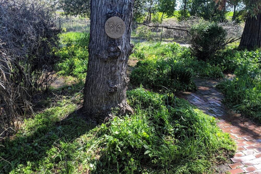 Photo of Outdoor in North Oak Park
