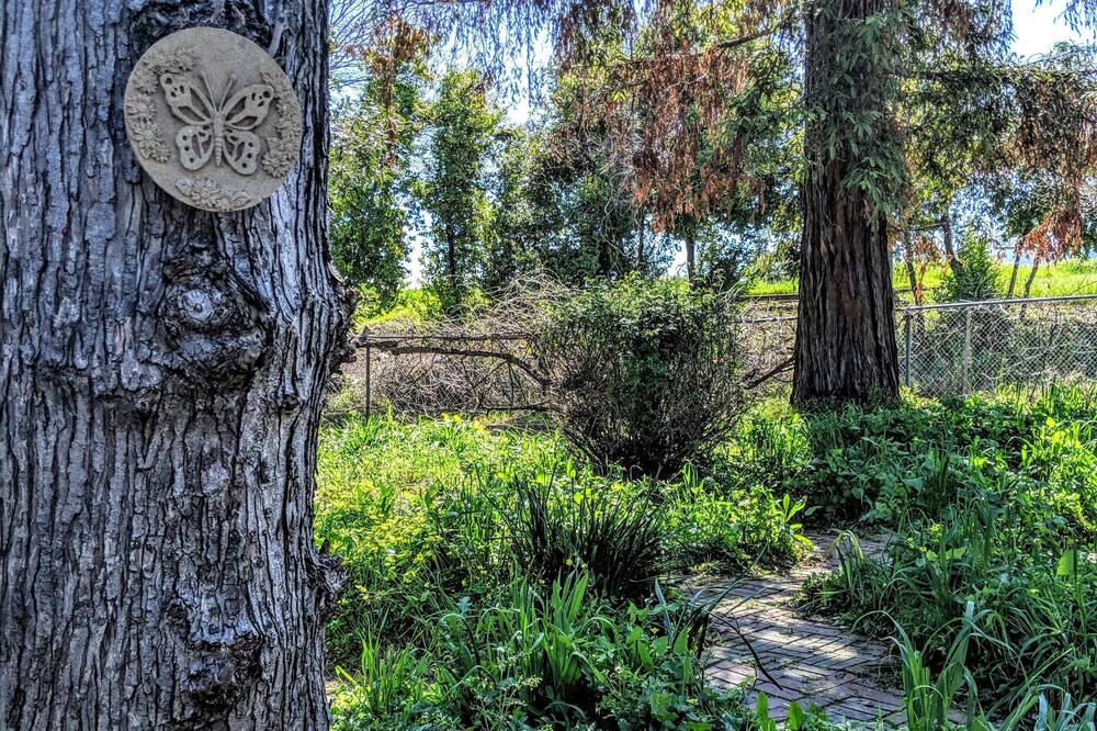 Photo of Others in North Oak Park