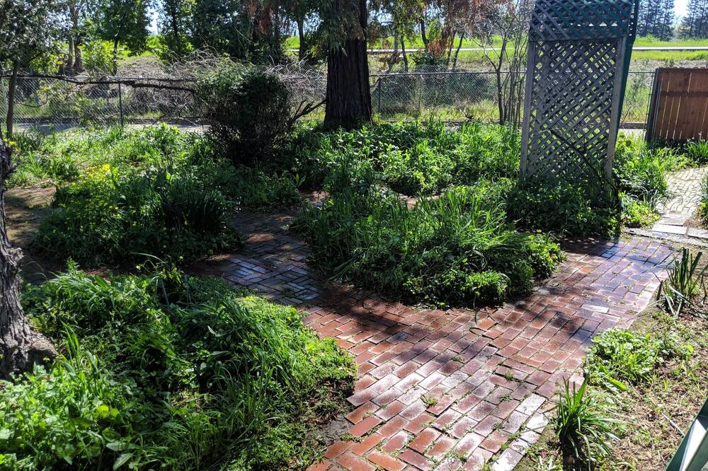 Photo of Outdoor in North Oak Park