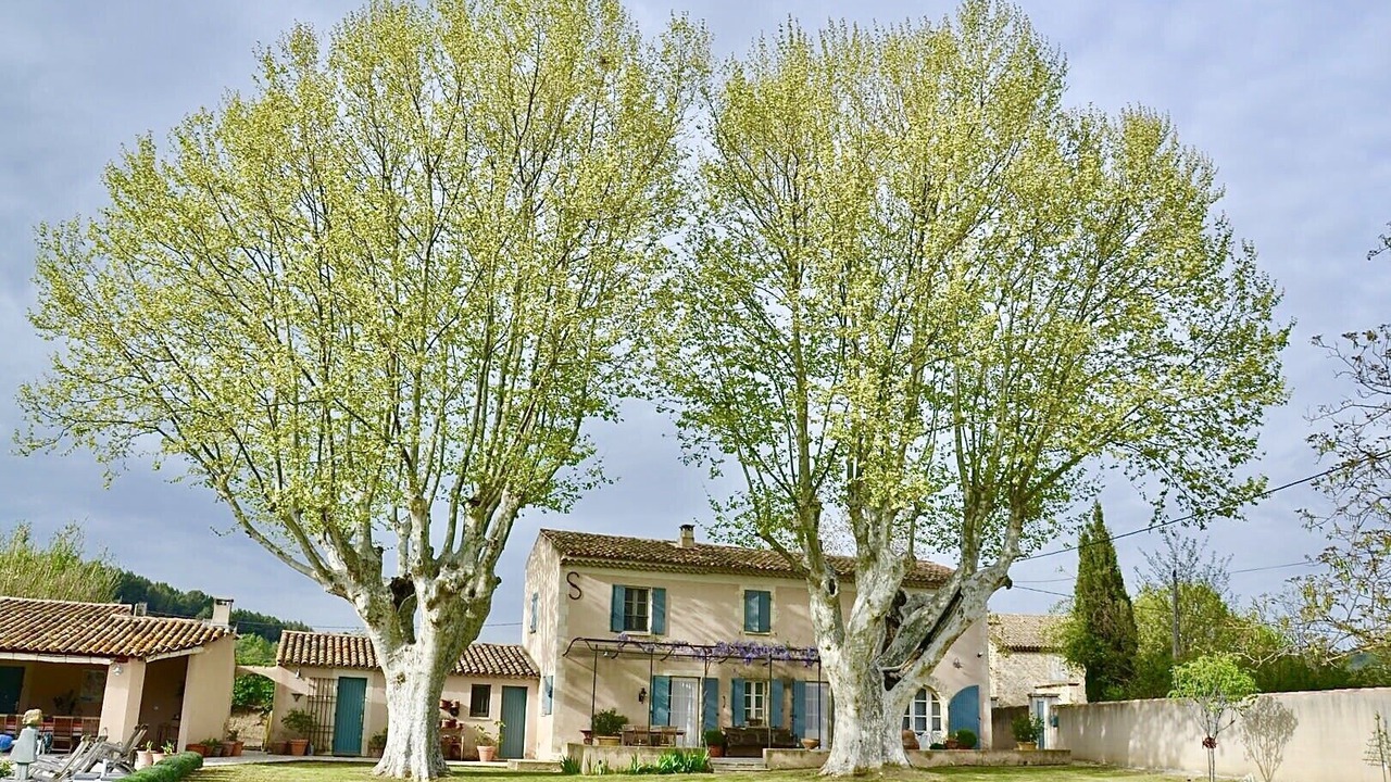 Photo of Outdoor in Merindol