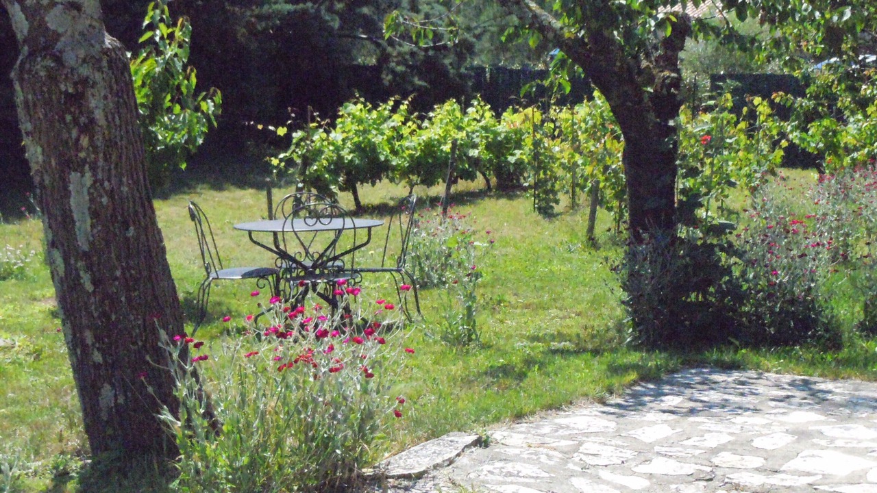Photo of Outdoor in Banne