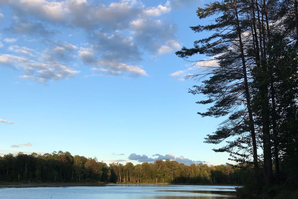 Photo of Others in Forestport