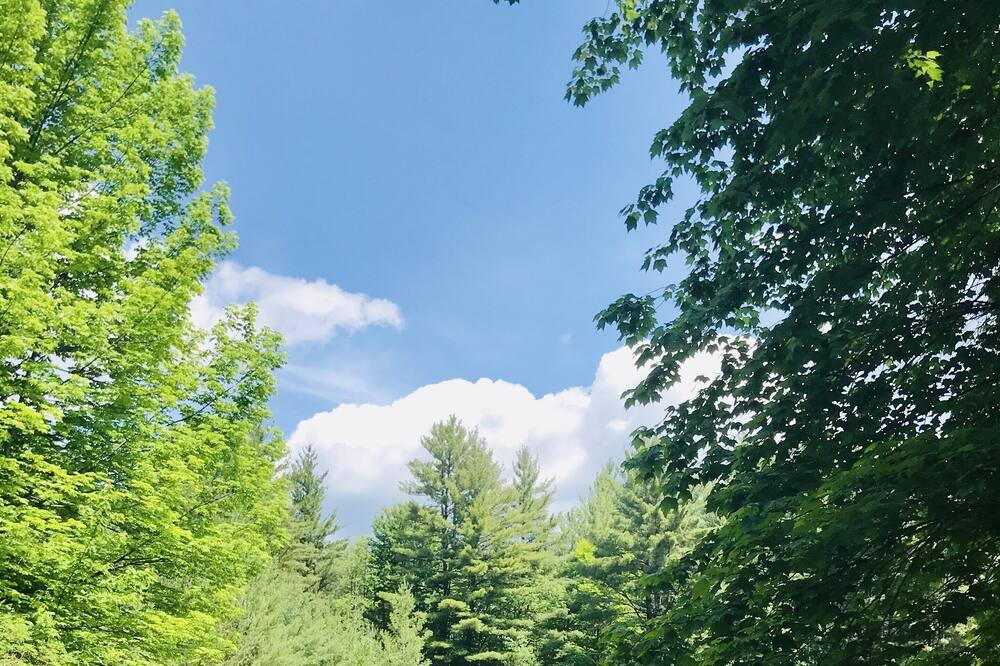 Photo of Outdoor in Forestport