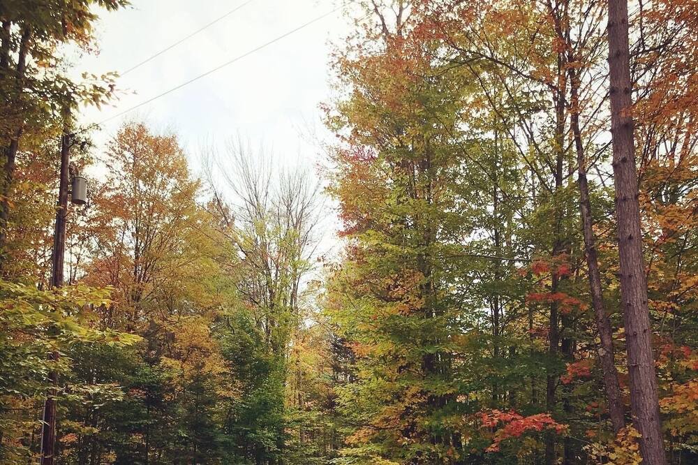 Photo of Outdoor in Forestport