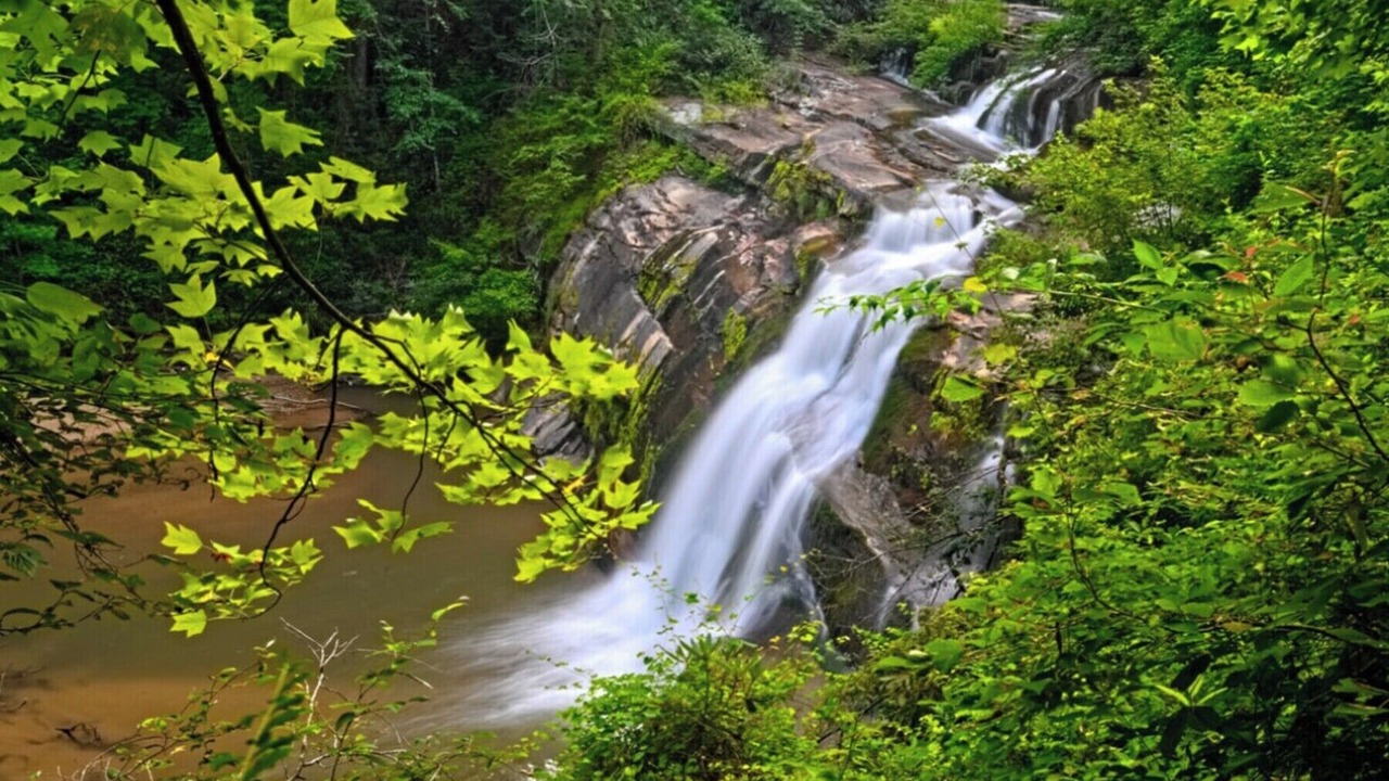 Photo of Others in Wiley