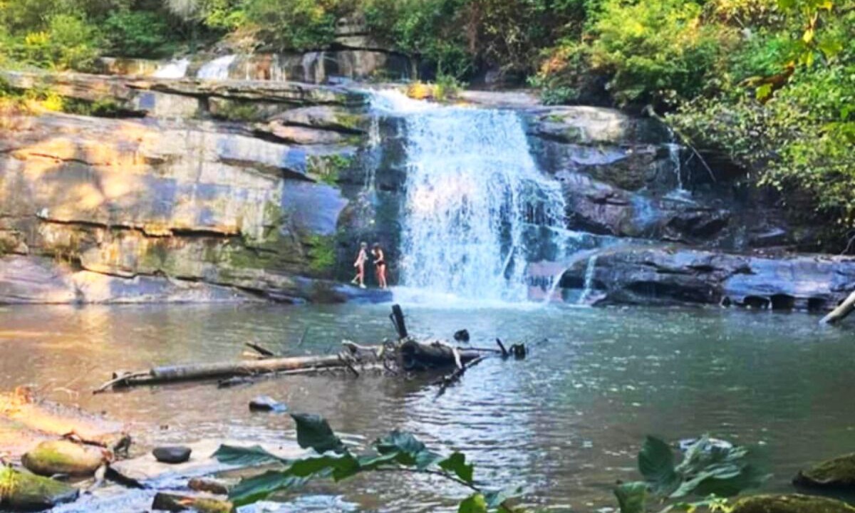 Photo of Others in Wiley