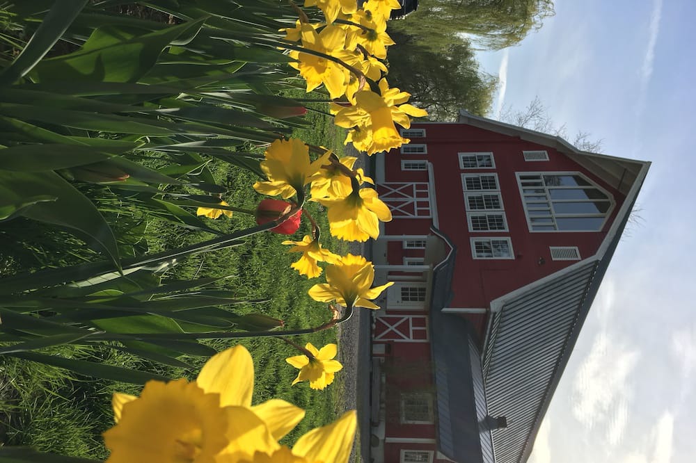 Photo of Others in Arlington