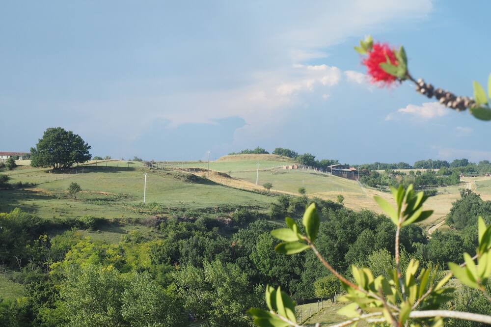 Photo of Others in Lapenne